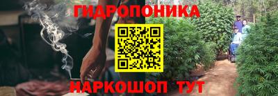 спиды Можга