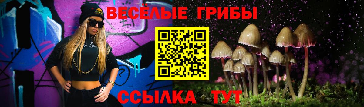 Тобольск  Псилоцибиновые грибы Psilocybine cubensis  Вход с VPN 